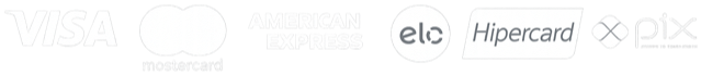 Visa, Mastercard, American Express, Elo, Hipercard e Pix